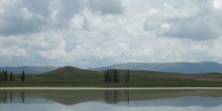 Sivas'ta geçen yıl tamamen kuruyan Tecer Gölü yağışlarla yeniden canlandı
