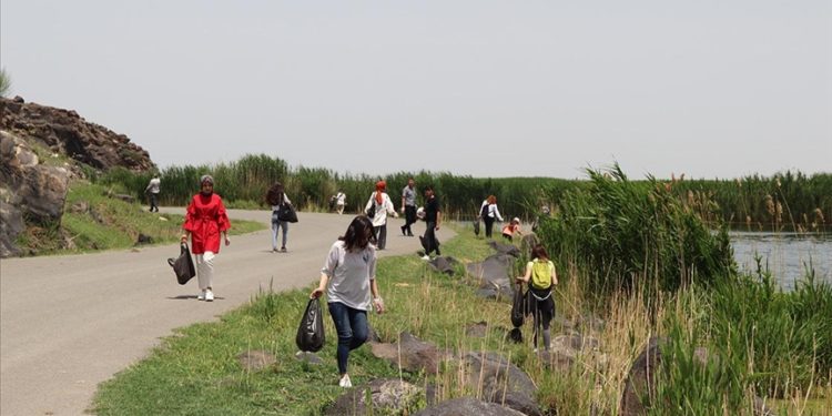 Akademisyen ve öğrenciler Ağrı Dağı Milli Parkı'nda temizlik yaptı