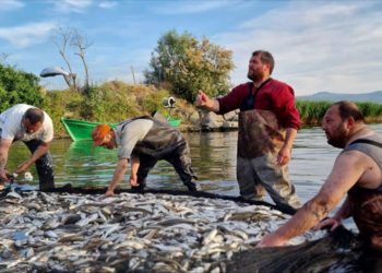 İznik Gölü'nde av sezonu balık bolluğuyla başladı