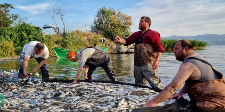 İznik Gölü'nde av sezonu balık bolluğuyla başladı