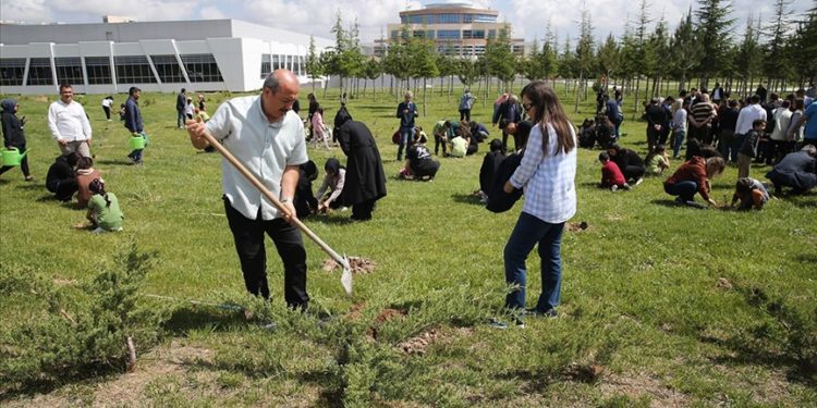Depremde hayatını kaybeden 14 üniversitelinin adına fidan dikildi