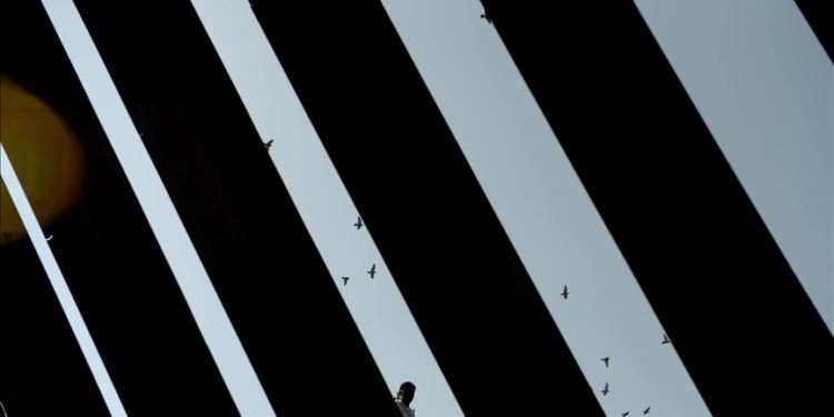 İsrail, iklim hedeflerine ulaşmak için “doğru bir yol” izlemiyor