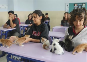 Kedi “Sütlaç” ve yavruları lisenin yeni üyeleri oldu