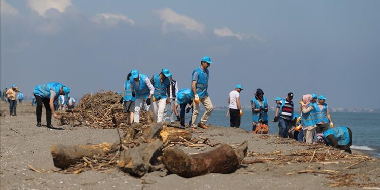 Sakarya'da sağanağın ardından kirlilik oluşan Kocaali sahili temizleniyor