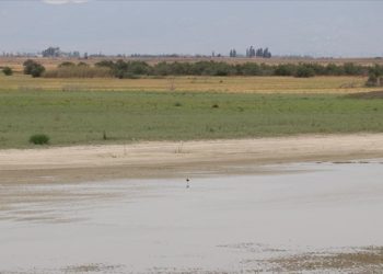 KKTC’deki Kukla Sulak Alanı rehabilitasyonla daha fazla kuş türüne ev sahipliği yapacak