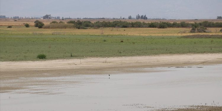 KKTC’deki Kukla Sulak Alanı rehabilitasyonla daha fazla kuş türüne ev sahipliği yapacak