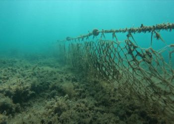 Balıkesir'de 3 yılda denizlerden 50 bin metrekare "hayalet ağ" toplandı