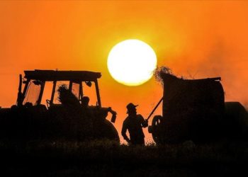 Bakan Yumaklı, çiftçilere bugün 124 milyon liralık destekleme ödemesi yapılacağını bildirdi