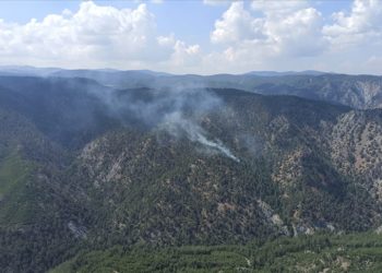 Muğla'da çıkan yangında 5 dönüm ormanlık alan zarar gördü
