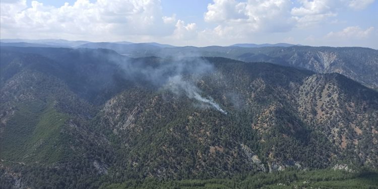 Muğla'da çıkan yangında 5 dönüm ormanlık alan zarar gördü