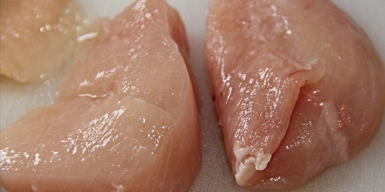 ABD Tarım Bakanlığından laboratuvarda üretilen tavuk etinin satışına onay