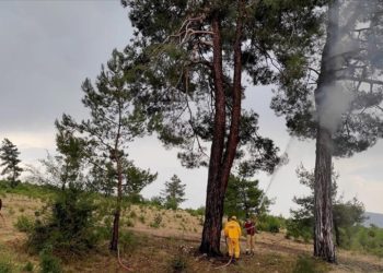 Muğla'da 3 haftada yıldırım kaynaklı 28 orman yangını çıktı