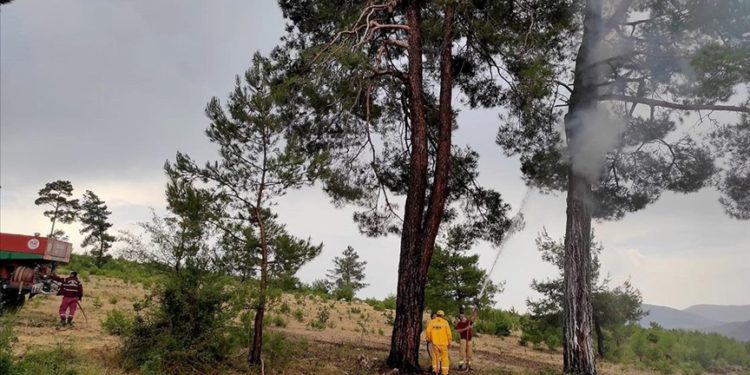 Muğla'da 3 haftada yıldırım kaynaklı 28 orman yangını çıktı
