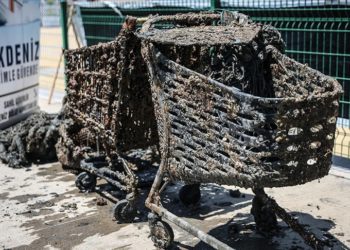 Mersin'de deniz dibinden alışveriş sepeti, halat ve çanak anten çıktı