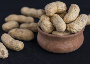 Yer fıstığı yaşlılıkta zihin sağlığını korumaya yardımcı olabilir