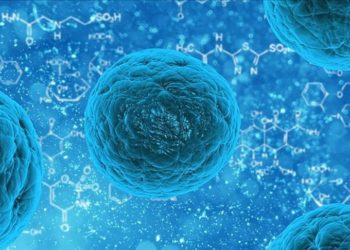 Türkiye kök hücre naklinde gelişmiş ülkeler seviyesini yakaladı