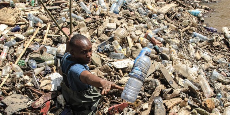 Ülkesinde plastik poşetleri yasaklatan Kenyalı çevrecinin yeni hedefi dünyayı uyarmak
