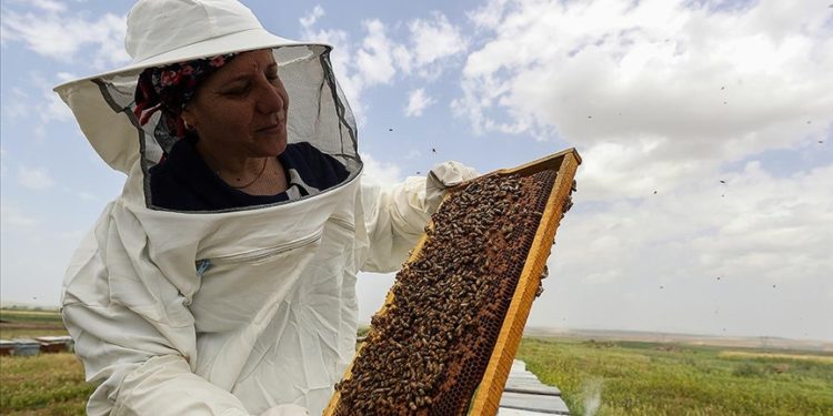 Diyarbakırlı kadın yaylaları gezerek 20 yıldır bal üretiyor