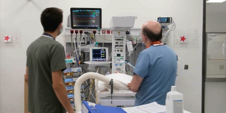 Muğla'dan İstanbul'a getirilen kalp hastası Ebrar bebek ameliyat edildi