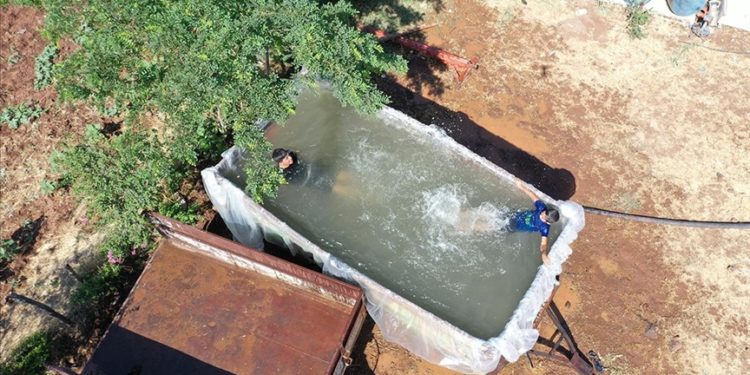 Diyarbakırlı çiftçi sıcaktan bunalan çocukları için traktörünün römorkunu havuza çevirdi