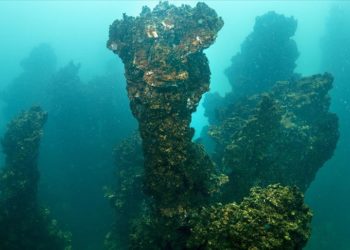 Van Gölü’ndeki mikrobiyalitlere şamandıralı koruma