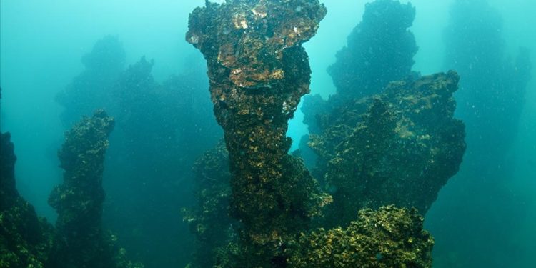Van Gölü’ndeki mikrobiyalitlere şamandıralı koruma