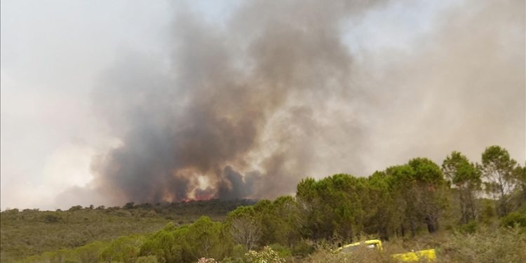 Tunus’ta orman yangınlarını söndürme çalışmaları sürüyor