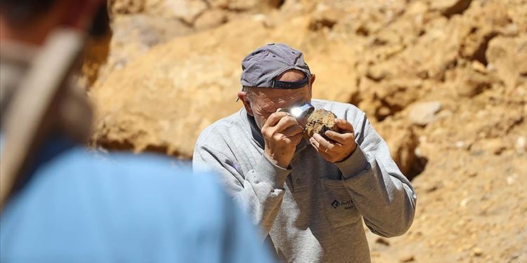 Bilim insanları Bayburt'taki doğal kehribar rezervini inceledi