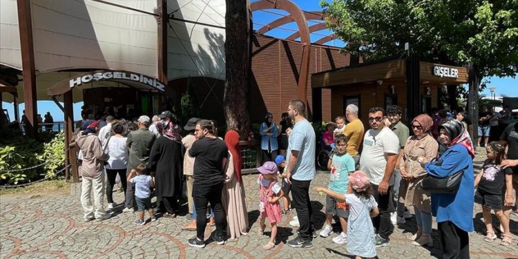 Ordu'daki teleferik Kurban Bayramı tatilinde 50 bin yolcu taşıdı