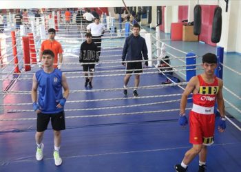 Yıldız Erkek Boks Milli Takımı Avrupa’da altın madalya peşinde