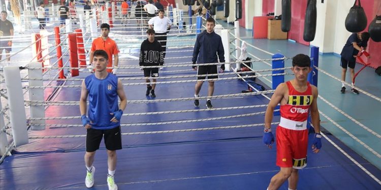 Yıldız Erkek Boks Milli Takımı Avrupa’da altın madalya peşinde