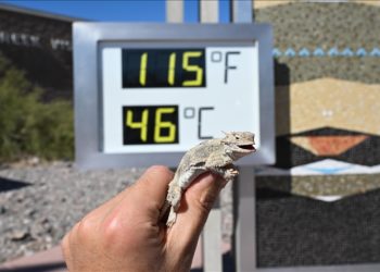 ABD’de aşırı sıcak hava 190 milyon kişiyi etkiledi