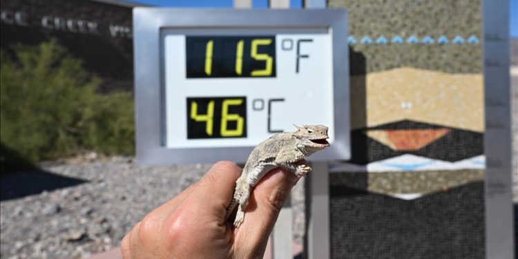 ABD’de aşırı sıcak hava 190 milyon kişiyi etkiledi