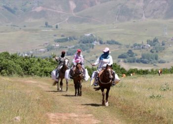 Muş’ta berivanlar, hayvanları sağmak için ATV ve atlarla yaylaya çıkıyor