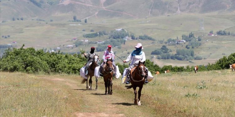 Muş’ta berivanlar, hayvanları sağmak için ATV ve atlarla yaylaya çıkıyor
