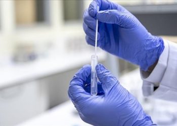 Ege Üniversitesi Kovid-19 salgınını koyun ve keçiler üzerinde inceleyecek