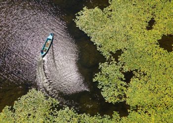 Beyşehir Gölü’nde balıkçı tekneleriyle gezilen nilüferler için tekne turları düzenleniyor