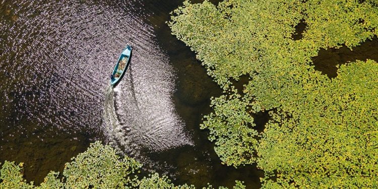 Beyşehir Gölü’nde balıkçı tekneleriyle gezilen nilüferler için tekne turları düzenleniyor