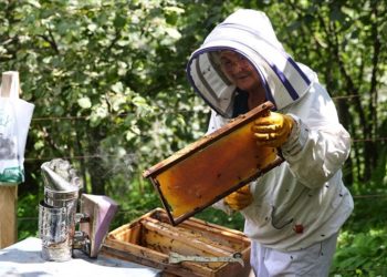 Bahçesine bırakılan kovanla arıcılığa başlayan kadın 27 yıldır bal üretiyor