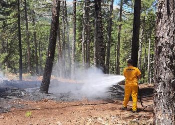 Adana’da çıkan iki orman yangını kontrol altına alındı