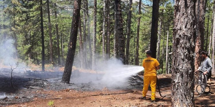 Adana’da çıkan iki orman yangını kontrol altına alındı