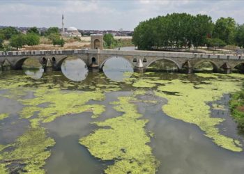 Tunca Nehri'ne atılan çöpler kirliliğe neden oldu