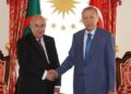 Cumhurbaşkanı Erdoğan ile Cezayir Cumhurbaşkanı Tebbun görüşmesi başladı