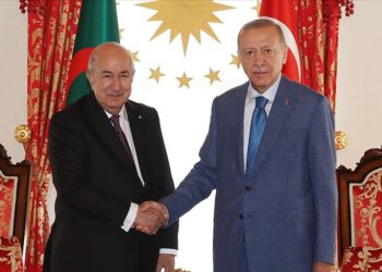 Cumhurbaşkanı Erdoğan ile Cezayir Cumhurbaşkanı Tebbun görüşmesi başladı