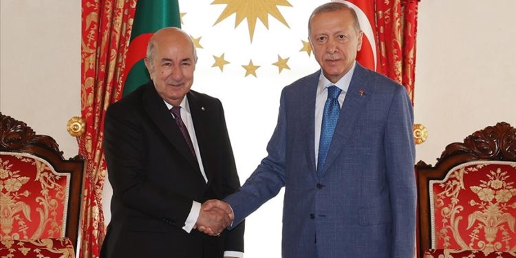 Cumhurbaşkanı Erdoğan ile Cezayir Cumhurbaşkanı Tebbun görüşmesi başladı