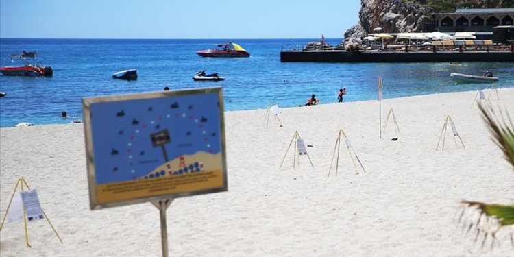 Alanya’da tespit edilen 300 caretta caretta yuvası koruma altında