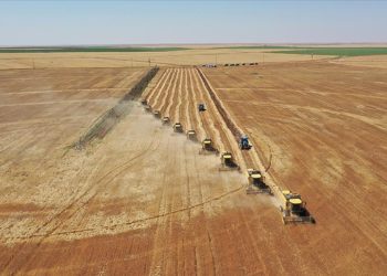 Türkiye, bölgesinde tarım sektöründe stratejik ortak olarak görülüyor