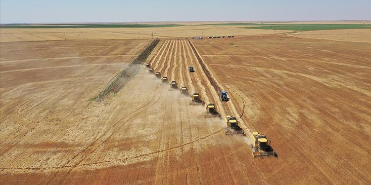Türkiye, bölgesinde tarım sektöründe stratejik ortak olarak görülüyor