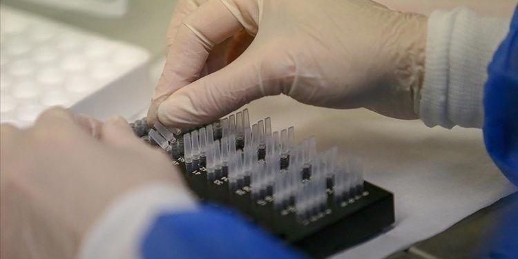 Türkiye’de hepatit görülme sıklığı belirgin oranda azaldı