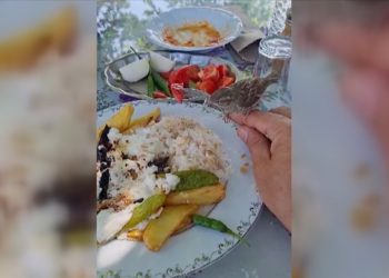 Muğla'da yavru serçe yemek yiyen kişinin tabağından ve elinden beslendi